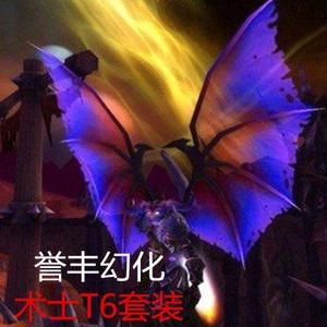 魔兽世界（木土T6套装）属性：智力耐力暗影火焰法术伤害